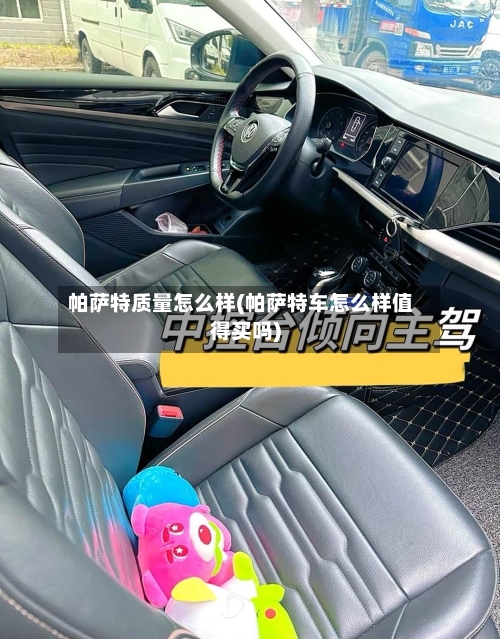 帕萨特质量怎么样(帕萨特车怎么样值得买吗)-第2张图片