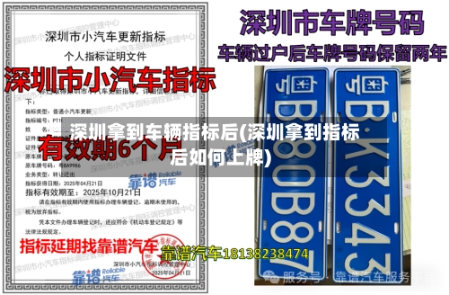 深圳拿到车辆指标后(深圳拿到指标后如何上牌)-第1张图片