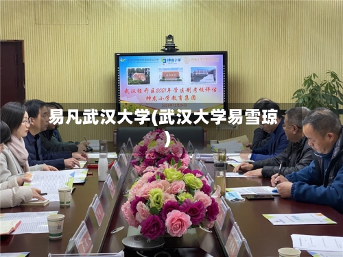 易凡武汉大学(武汉大学易雪琼)-第3张图片