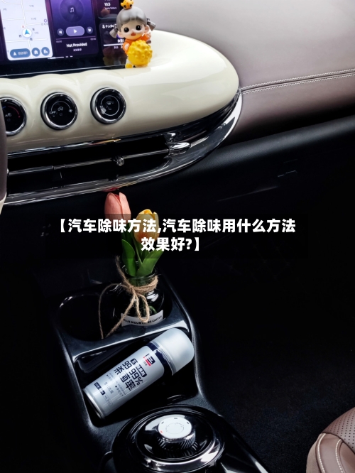 【汽车除味方法,汽车除味用什么方法效果好?】-第2张图片