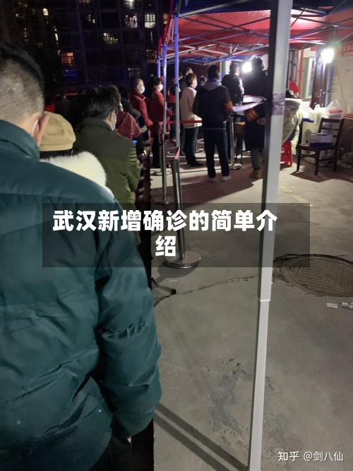 武汉新增确诊的简单介绍