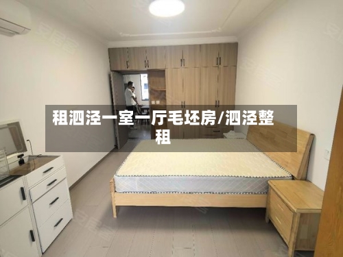 租泗泾一室一厅毛坯房/泗泾整租-第2张图片