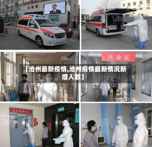 【沧州最新疫情,沧州疫情最新情况新增人数】-第2张图片