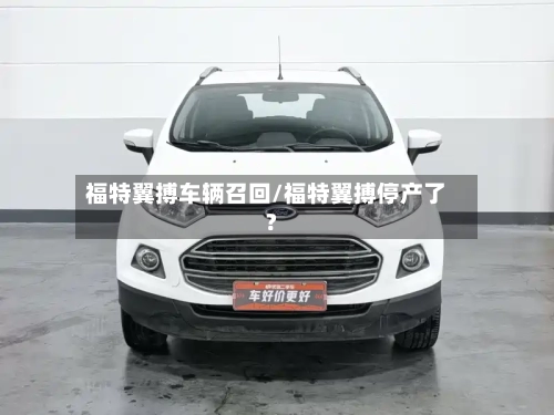 福特翼搏车辆召回/福特翼搏停产了?-第2张图片