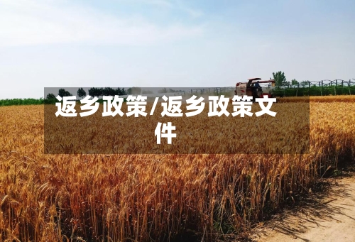 返乡政策/返乡政策文件-第2张图片