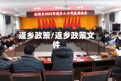 返乡政策/返乡政策文件