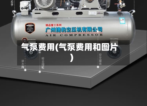 气泵费用(气泵费用和图片)