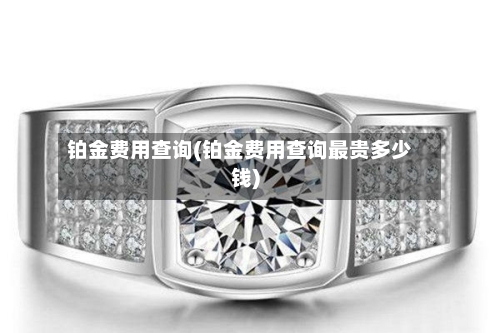 铂金费用查询(铂金费用查询最贵多少钱)-第2张图片