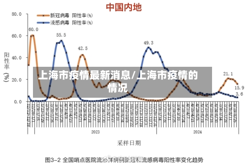 上海市疫情最新消息/上海市疫情的情况