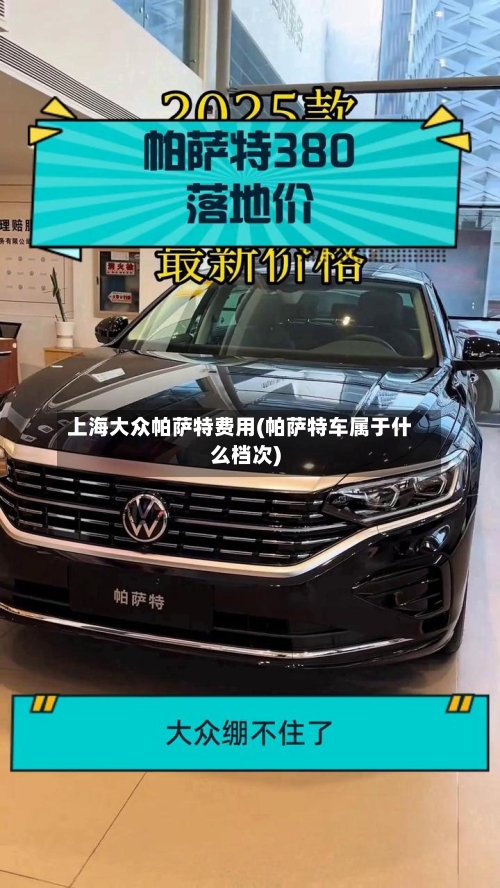 上海大众帕萨特费用(帕萨特车属于什么档次)-第2张图片