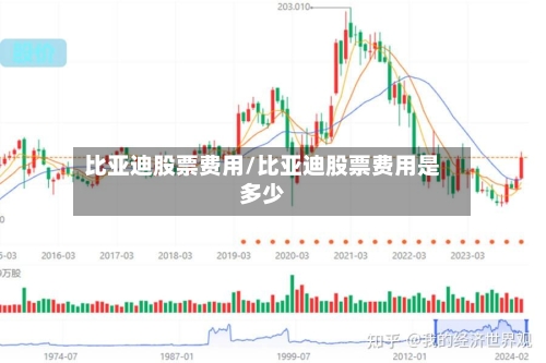 比亚迪股票费用/比亚迪股票费用是多少-第3张图片
