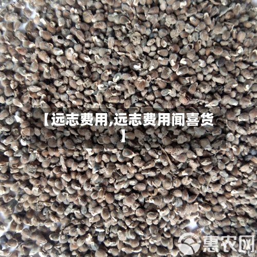 【远志费用,远志费用闻喜货】-第2张图片