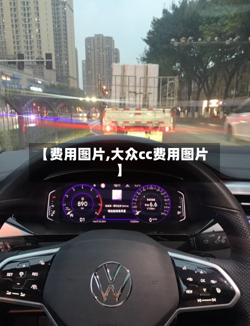 【费用图片,大众cc费用图片】