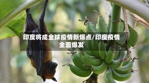 印度将成全球疫情新爆点/印度疫情全面爆发-第2张图片