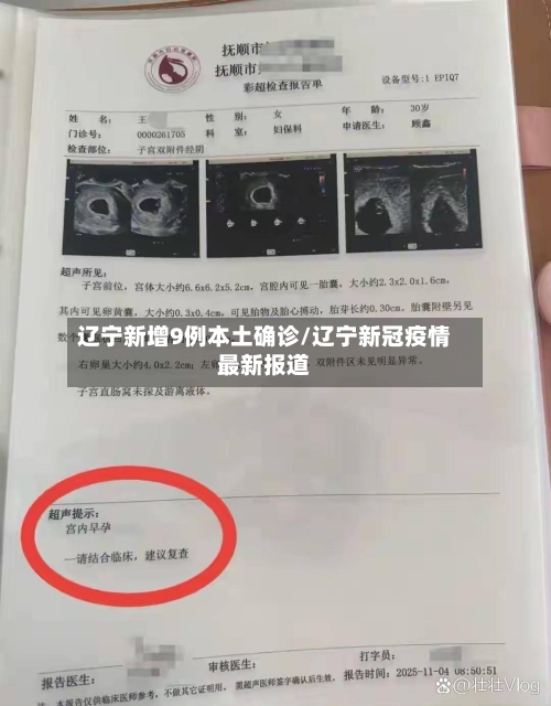 辽宁新增9例本土确诊/辽宁新冠疫情最新报道-第1张图片