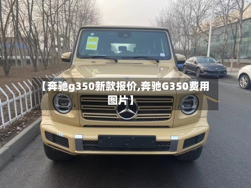 【奔驰g350新款报价,奔驰G350费用图片】-第3张图片