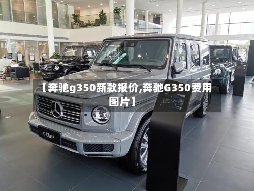 【奔驰g350新款报价,奔驰G350费用图片】