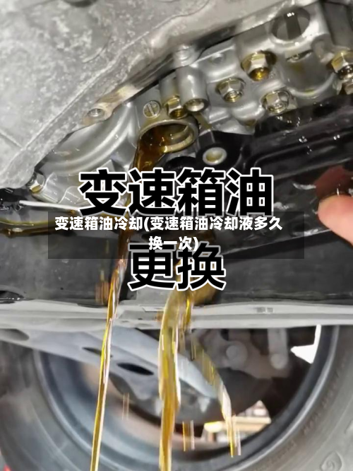 变速箱油冷却(变速箱油冷却液多久换一次)-第1张图片