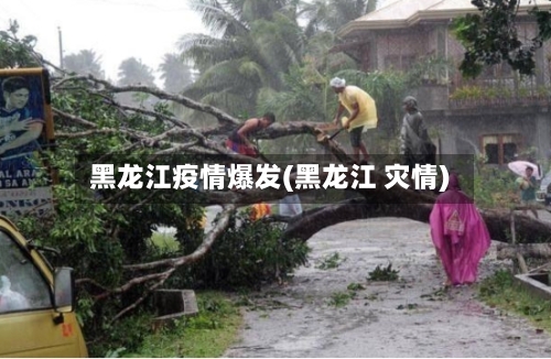 黑龙江疫情爆发(黑龙江 灾情)