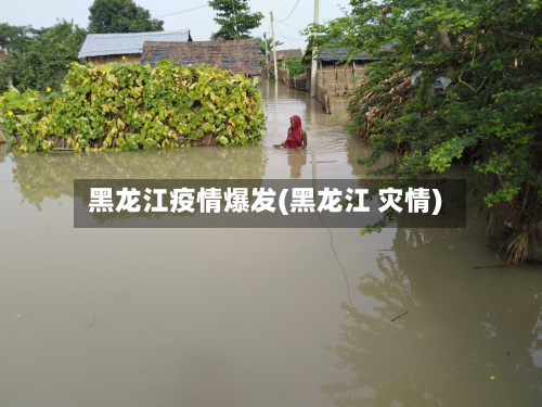 黑龙江疫情爆发(黑龙江 灾情)-第2张图片