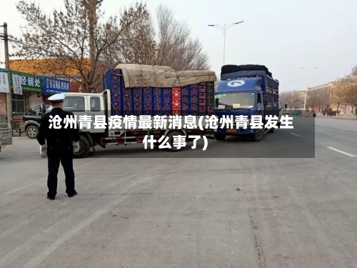 沧州青县疫情最新消息(沧州青县发生什么事了)-第2张图片