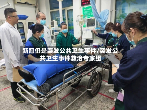 新冠仍是突发公共卫生事件/突发公共卫生事件救治专家组