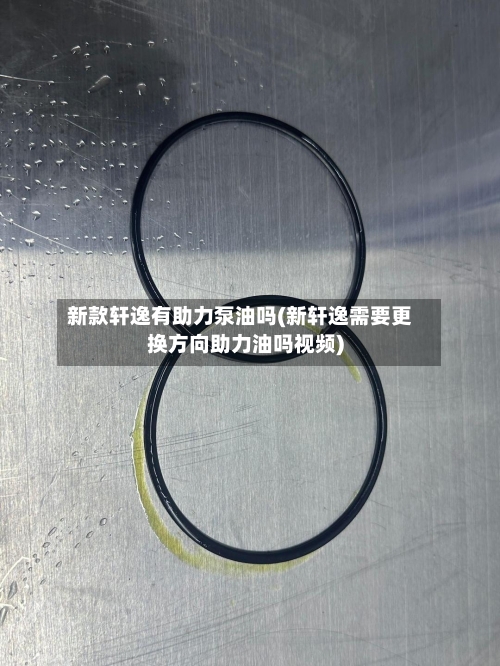 新款轩逸有助力泵油吗(新轩逸需要更换方向助力油吗视频)-第2张图片