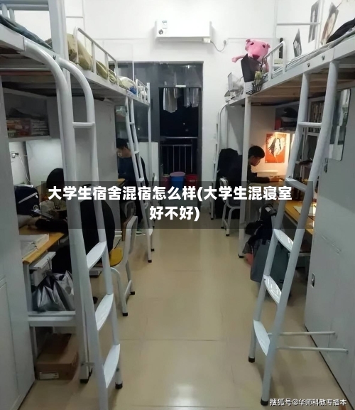 大学生宿舍混宿怎么样(大学生混寝室好不好)-第1张图片