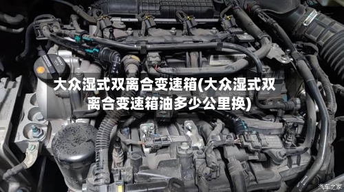 大众湿式双离合变速箱(大众湿式双离合变速箱油多少公里换)-第3张图片