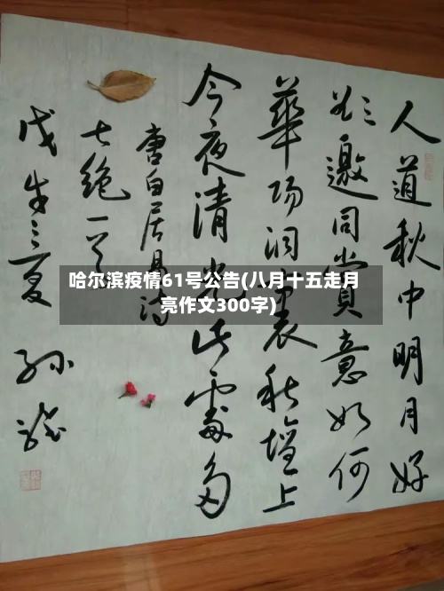哈尔滨疫情61号公告(八月十五走月亮作文300字)-第2张图片