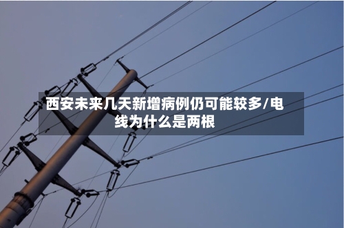 西安未来几天新增病例仍可能较多/电线为什么是两根-第2张图片