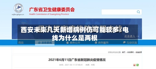 西安未来几天新增病例仍可能较多/电线为什么是两根-第3张图片
