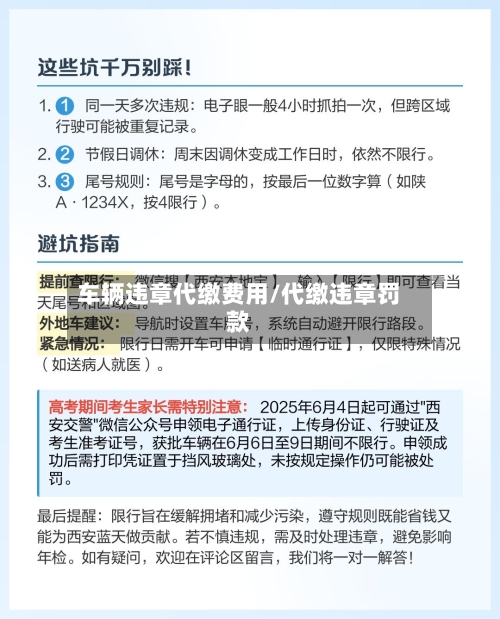 车辆违章代缴费用/代缴违章罚款-第1张图片