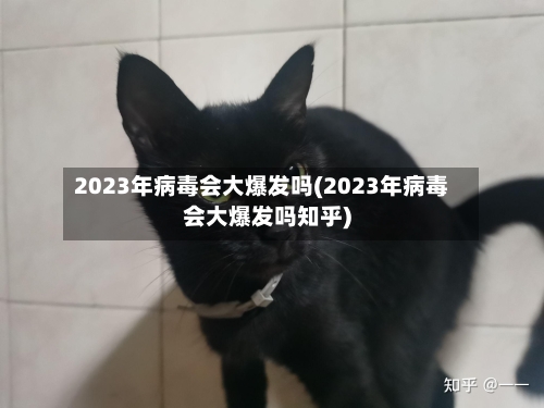 2023年病毒会大爆发吗(2023年病毒会大爆发吗知乎)