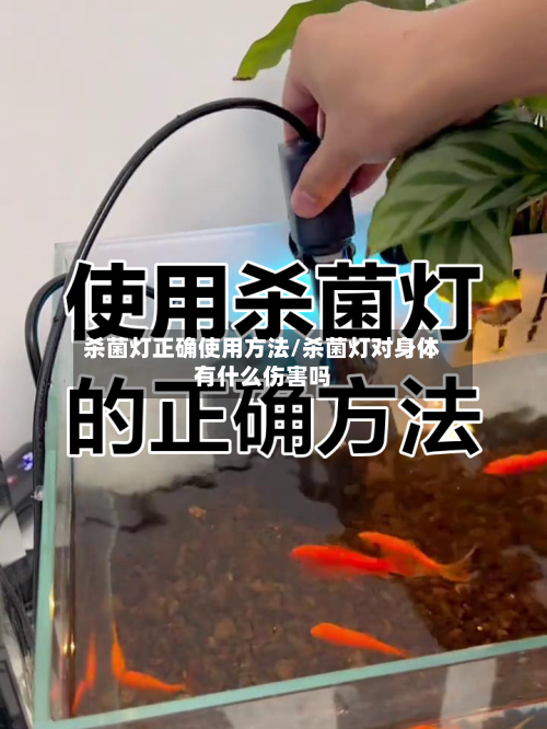 杀菌灯正确使用方法/杀菌灯对身体有什么伤害吗