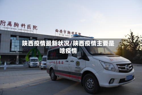 陕西疫情最新状况/陕西疫情主要是啥疫情