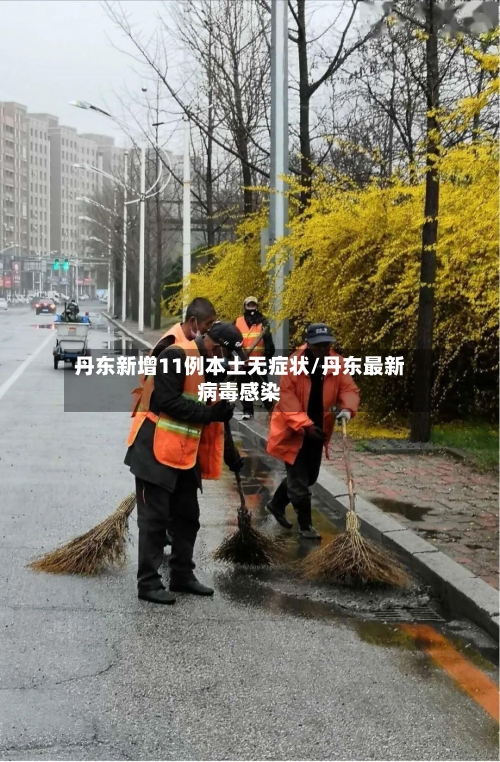 丹东新增11例本土无症状/丹东最新病毒感染-第3张图片