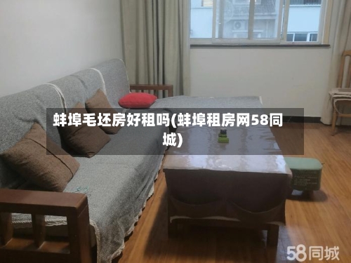 蚌埠毛坯房好租吗(蚌埠租房网58同城)-第2张图片