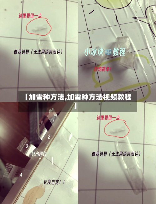 【加雪种方法,加雪种方法视频教程】