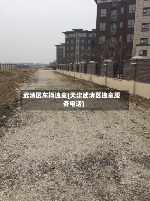 武清区车辆违章(天津武清区违章服务电话)-第2张图片