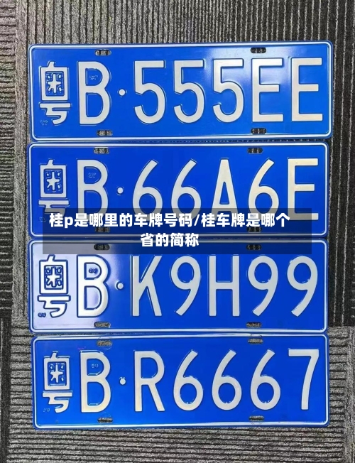 桂p是哪里的车牌号码/桂车牌是哪个省的简称-第1张图片