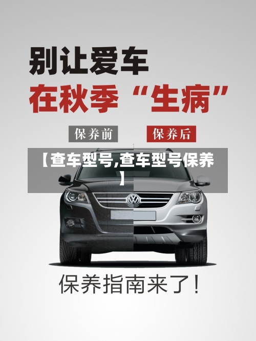 【查车型号,查车型号保养】-第2张图片