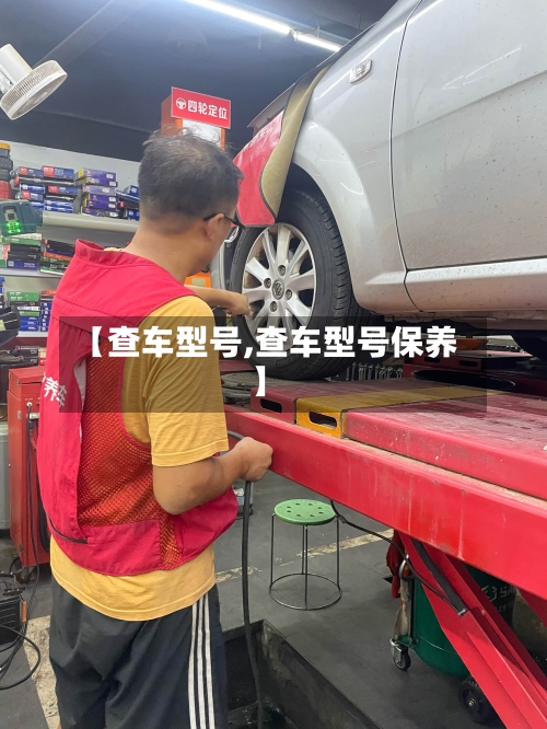 【查车型号,查车型号保养】