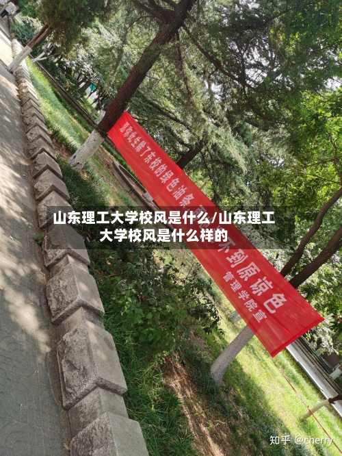 山东理工大学校风是什么/山东理工大学校风是什么样的-第2张图片