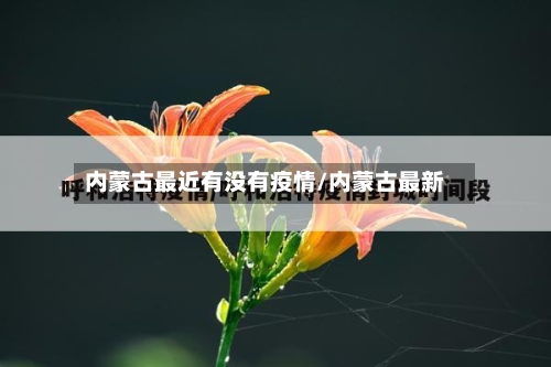 内蒙古最近有没有疫情/内蒙古最新