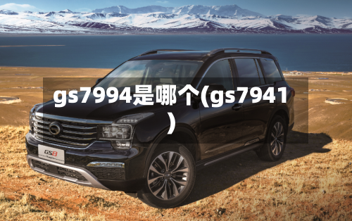 gs7994是哪个(gs7941)-第1张图片