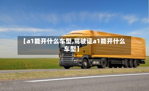【a1能开什么车型,驾驶证a1能开什么车型】-第2张图片