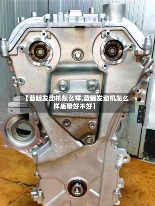 【蓝鲸发动机怎么样,蓝鲸发动机怎么样质量好不好】-第1张图片