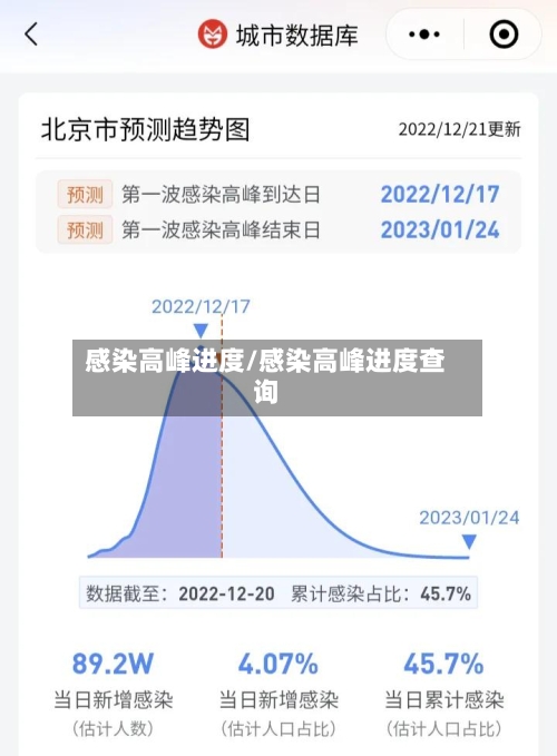 感染高峰进度/感染高峰进度查询-第1张图片