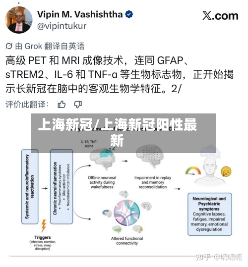 上海新冠/上海新冠阳性最新-第2张图片